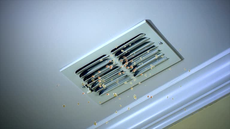 Best HVAC Air Duct Cleaning  in Troy, TN